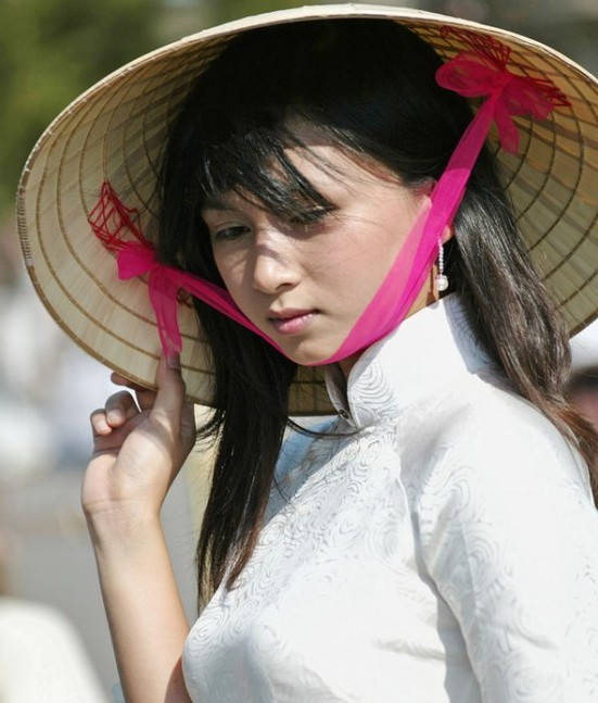 红牡丹